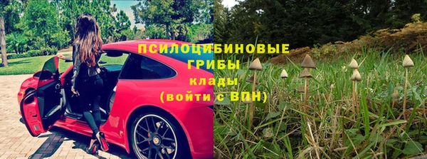 хмурый Алексеевка
