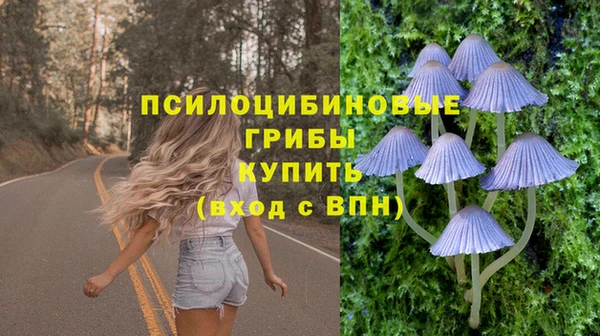 2c-b Алексин